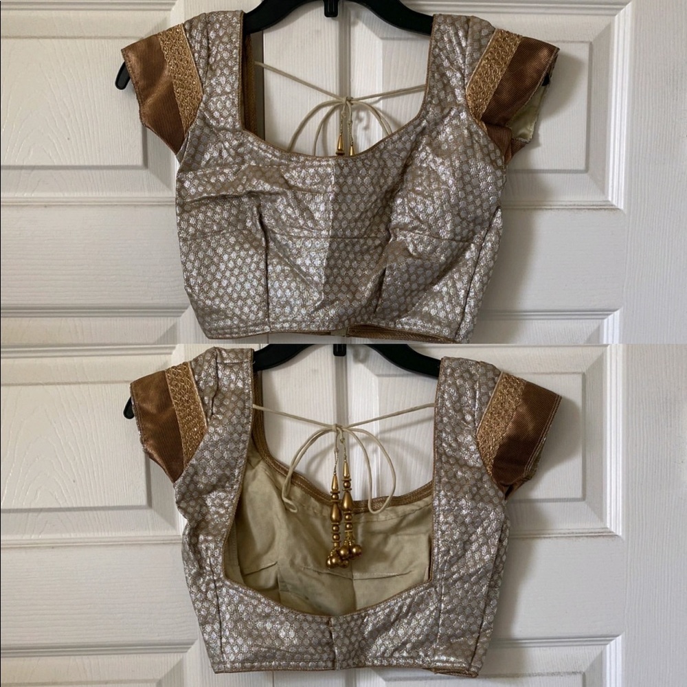 Indian Pakistani silver gold bronze cropped top choli short sleeve blouse